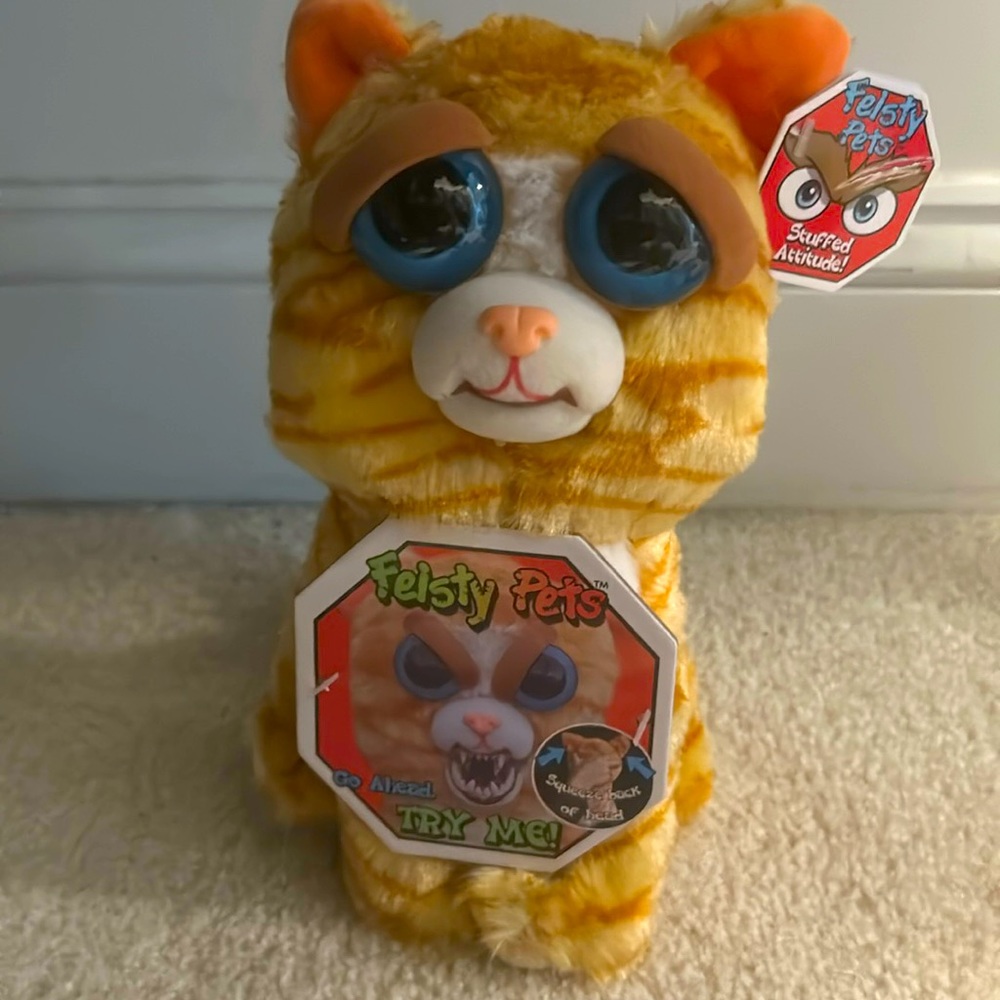 Fiesty Pet (cat)